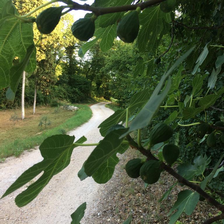 Agriturismo Altobello Werona Zewnętrze zdjęcie