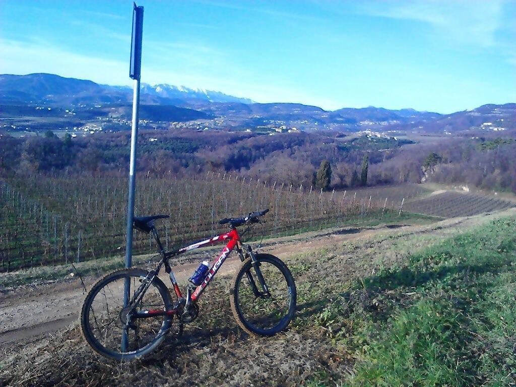 Agriturismo Altobello Werona Zewnętrze zdjęcie